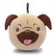 Powi�ksz zdj�cie