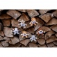Powi�ksz zdj�cie