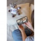 Powi�ksz zdj�cie