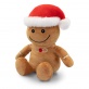 Powi�ksz zdj�cie