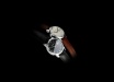 Powi�ksz zdj�cie
