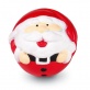 Powi�ksz zdj�cie