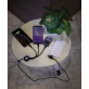 Powi�ksz zdj�cie