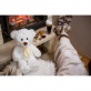 Powi�ksz zdj�cie